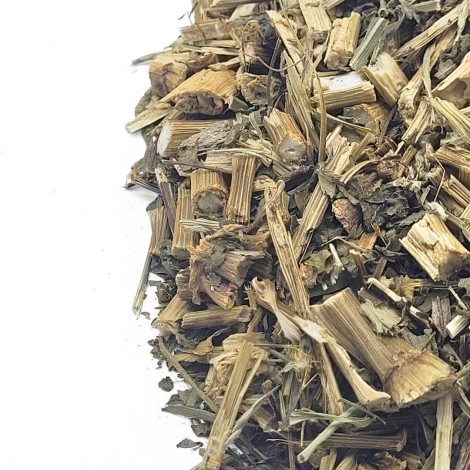 Picão Negro Blackjack (Bidens pilosa L.)