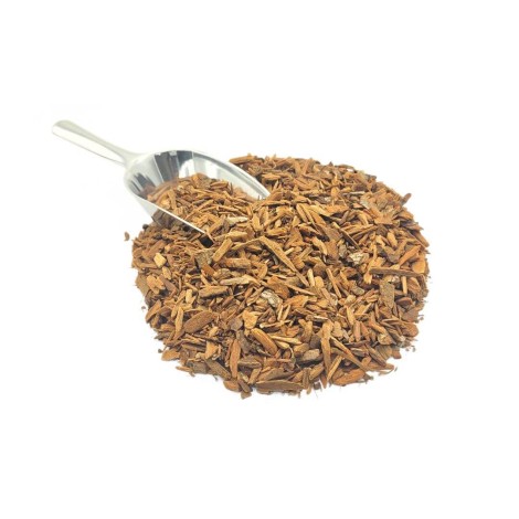 Red Cinchona Bark (Cinchona officinalis, L.)