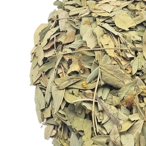 Senna herbal tea (Cassia angustifolia)
