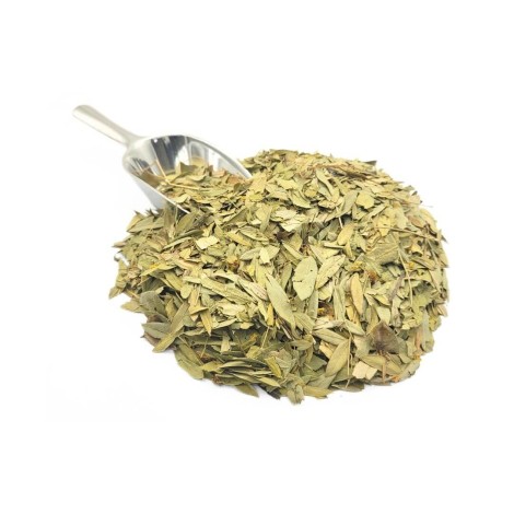 Senna herbal tea (Cassia angustifolia)