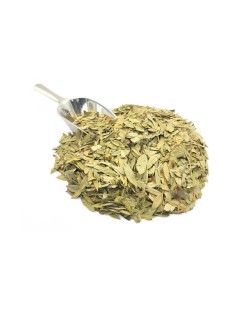 Senna herbal tea (Cassia angustifolia)