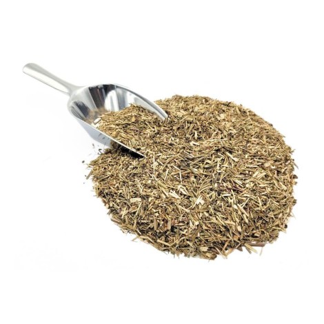 Thyme Herbal Tea (Thymus vulgaris)