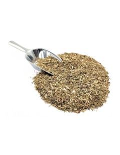 Thyme Herbal Tea (Thymus vulgaris)