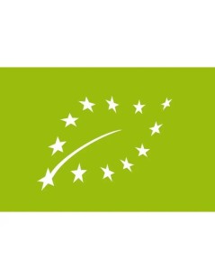 Chai Latte Green Milk Ecológico - 1Kg