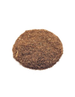 Corn Hair Herbal Tea (Zea Mays)