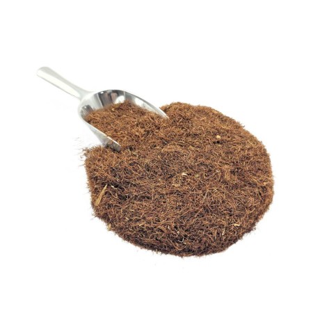 Corn Hair Herbal Tea (Zea Mays)