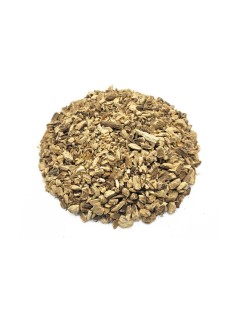 Burdock Root Tea (Arctium Lappa L.)
