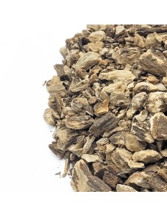 Klettenwurzeltee (Arctium Lappa L.)