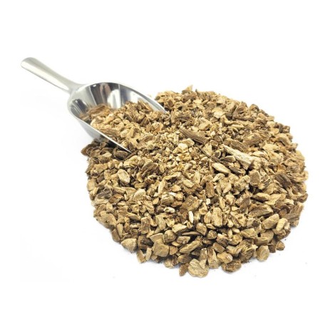 Burdock Root Tea (Arctium Lappa L.)