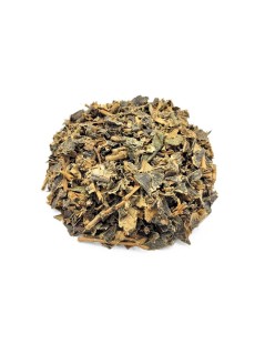 Canela de Velho, planta (Miconia albicans)