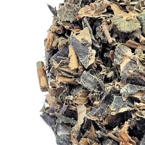Canela de Velho Herbal Tea (Miconia albicans)
