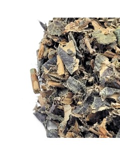 Canela de Velho, planta (Miconia albicans)