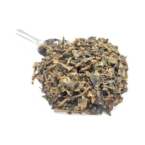 Canela de Velho Herbal Tea (Miconia albicans)