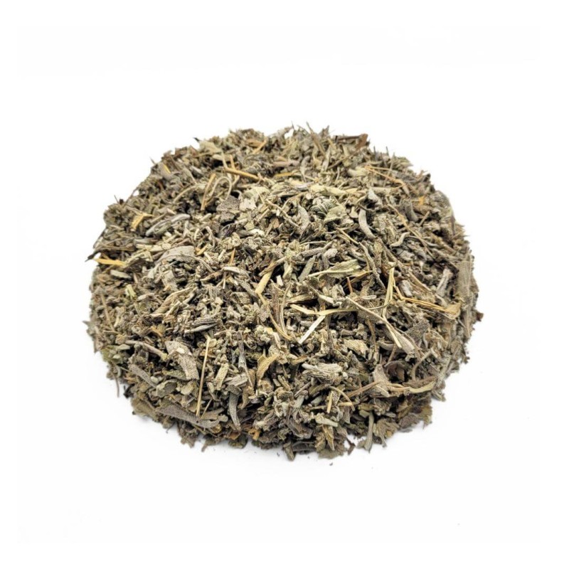 Salvia hojas (Salvia officinalis L.)