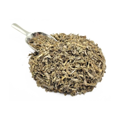 Sage Herbal Tea (Salvia officinalis L.)