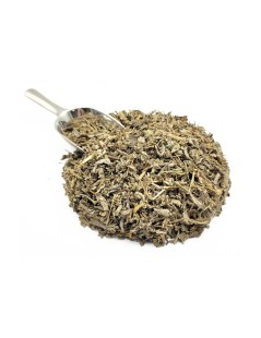 Sage Herbal Tea (Salvia officinalis L.)