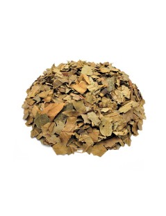 Avocado Herbal Tea Leaves (Persea Americana)