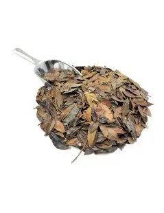 Aroeira Mastic Herbal Tea (Pistacia lentiscus L.)
