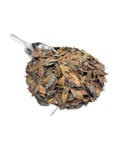 Aroeira Hojas (Pistacia lentiscus L.)