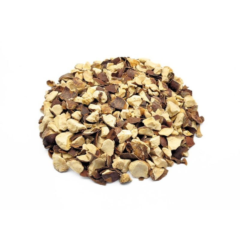 Rosskastanie Tee (Aesculus hippocastanum)