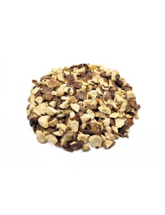 Castaño de Indias (Aesculus hippocastanum)