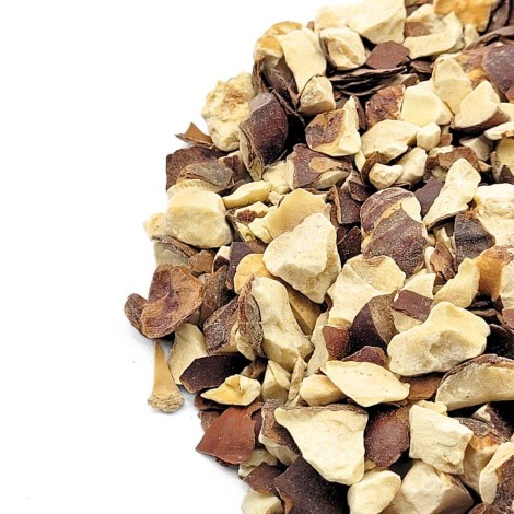 Castaño de Indias (Aesculus hippocastanum)