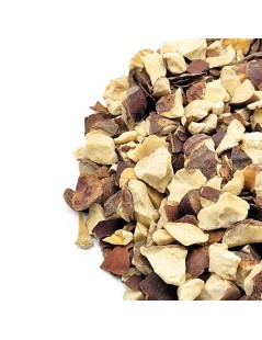 Marron d'Inde (Aesculus hippocastanum)