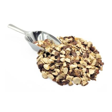 Indian Chestnut Herbal Tea (Aesculus hippocastanum)