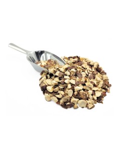 Castaño de Indias (Aesculus hippocastanum)