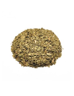 Ginkgo Biloba foglie