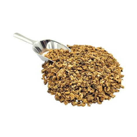 Devil's Claw, Root (Harpagophytum procumbens)