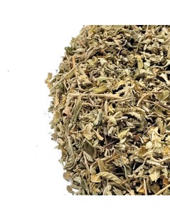 Damiana Herbal Tea (Turnera diffusa)