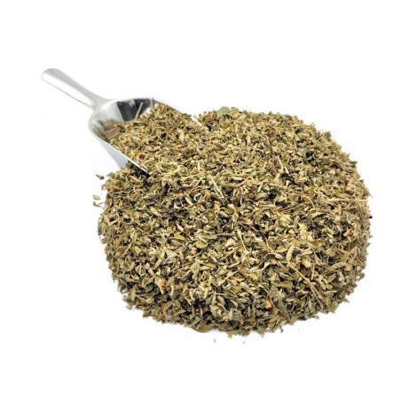 Damiana Herbal Tea (Turnera diffusa)