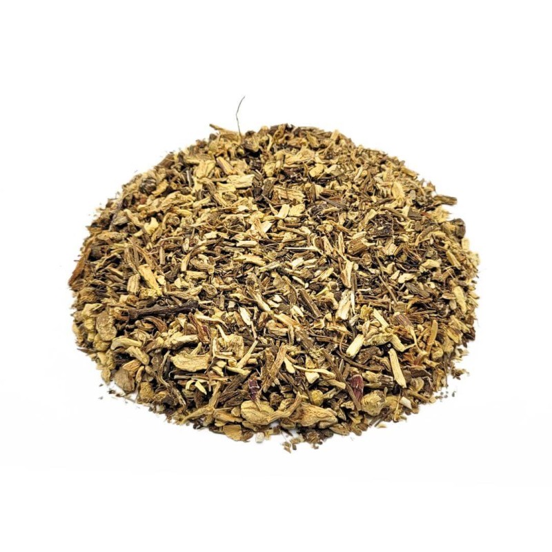 Radice di Echinacea (Echinacea purpurea)