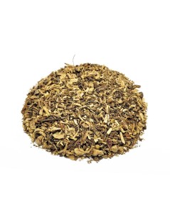 Radice di Echinacea (Echinacea purpurea)