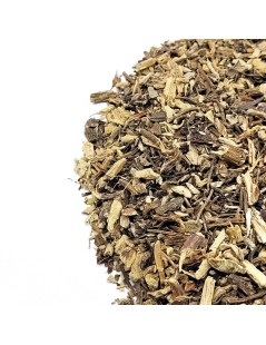 Radice di Echinacea (Echinacea purpurea)