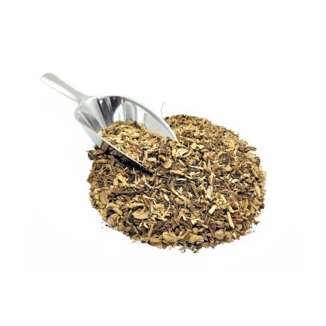 Radice di Echinacea (Echinacea purpurea)