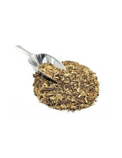 Radice di Echinacea (Echinacea purpurea)