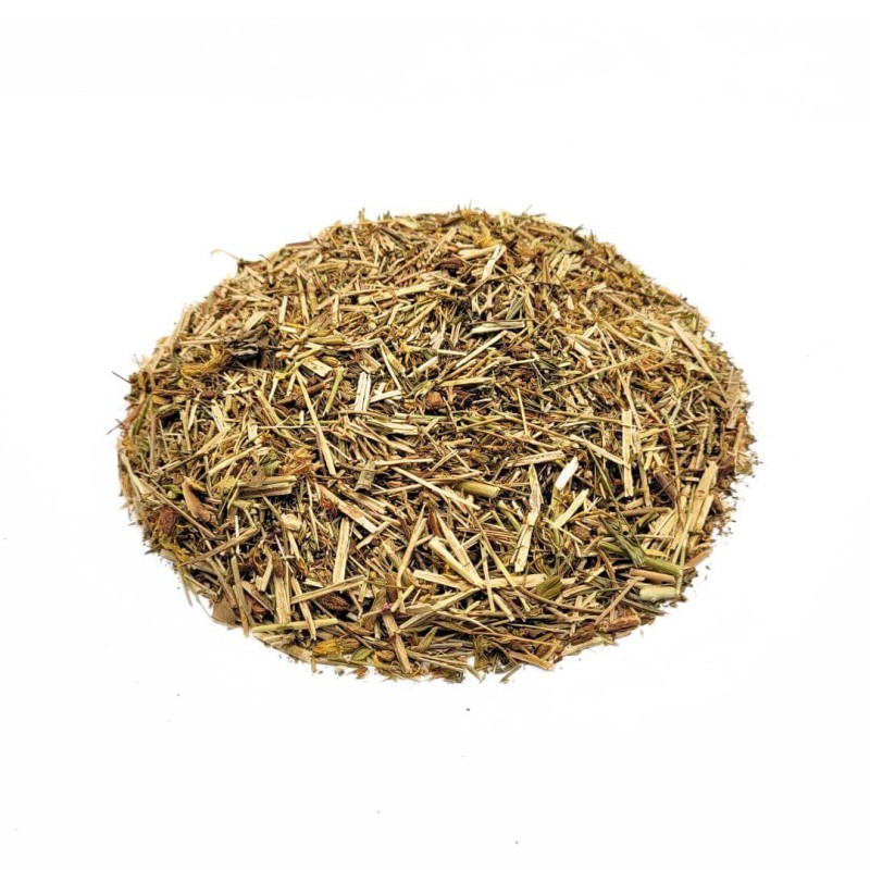 Hierba de San Juan (Hypericum perforatum) - Premium