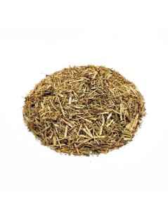 Erba di San Giovanni (Hypericum perforatum) - Premium