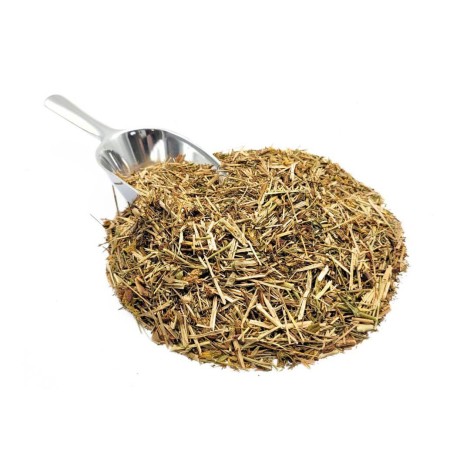 St. John's Wort Herbal Tea - Premium