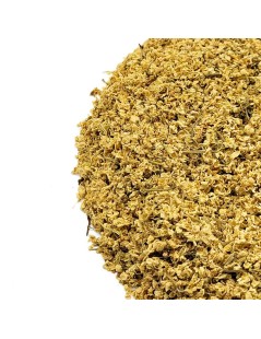 Sabugueiro, Flor (Sambucus nigra L)