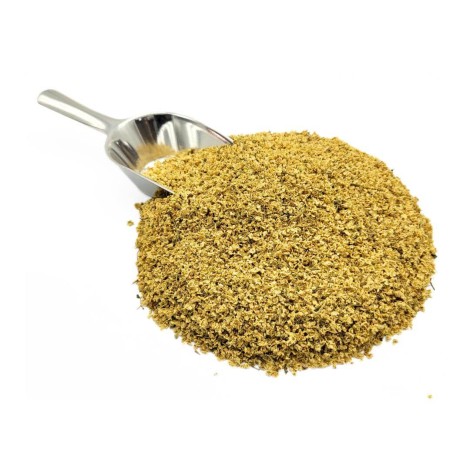 Sureau, Fleur (Sambucus nigra L)