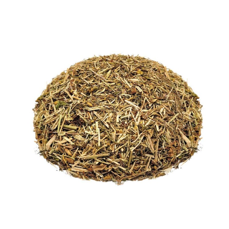 Schmalblättriges Weidenröschen, Pflanze (Epilobium angustifolium)