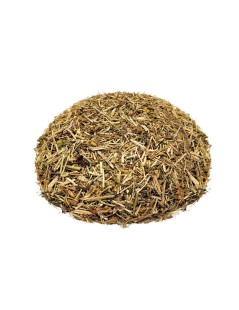 Epilóbio, Planta (Epilobium angustifolium)