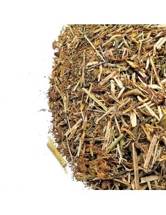 Epilobio / Fireweed, Plant (Epilobium angustifolium)