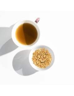 Flor del Nopal (Opuntia ficus-indica)