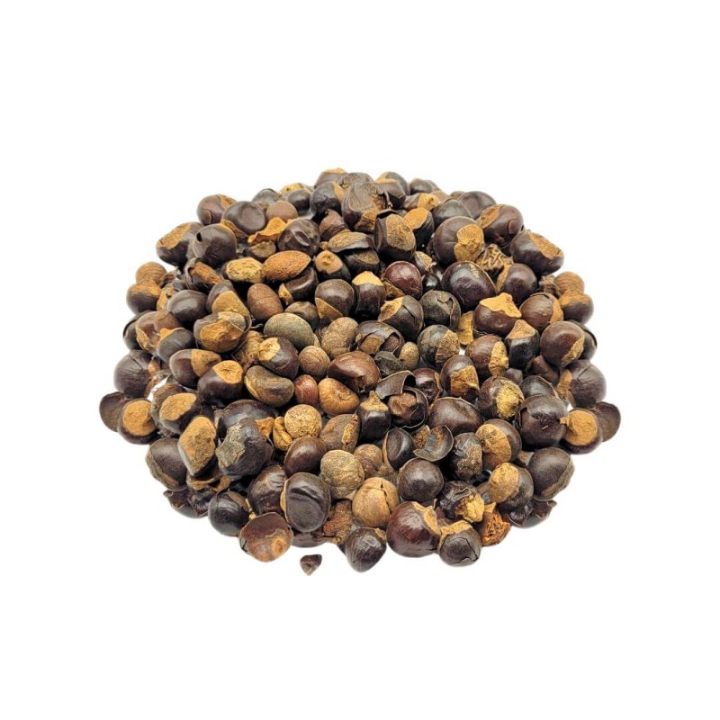 Guarana-Beeren Tee (Paullinia cupana)