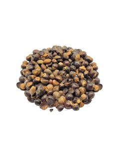 Guaraná, Bagas (Paullinia cupana)