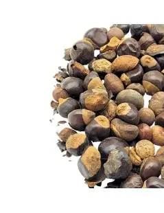 Guarana Seeds Herbal Tea (Paullinia cupana)